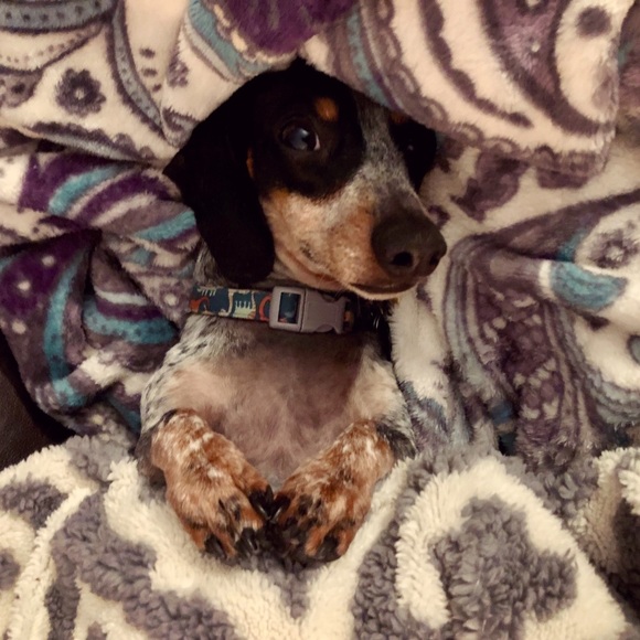 Meet your Posher! - Picture 3 of 3